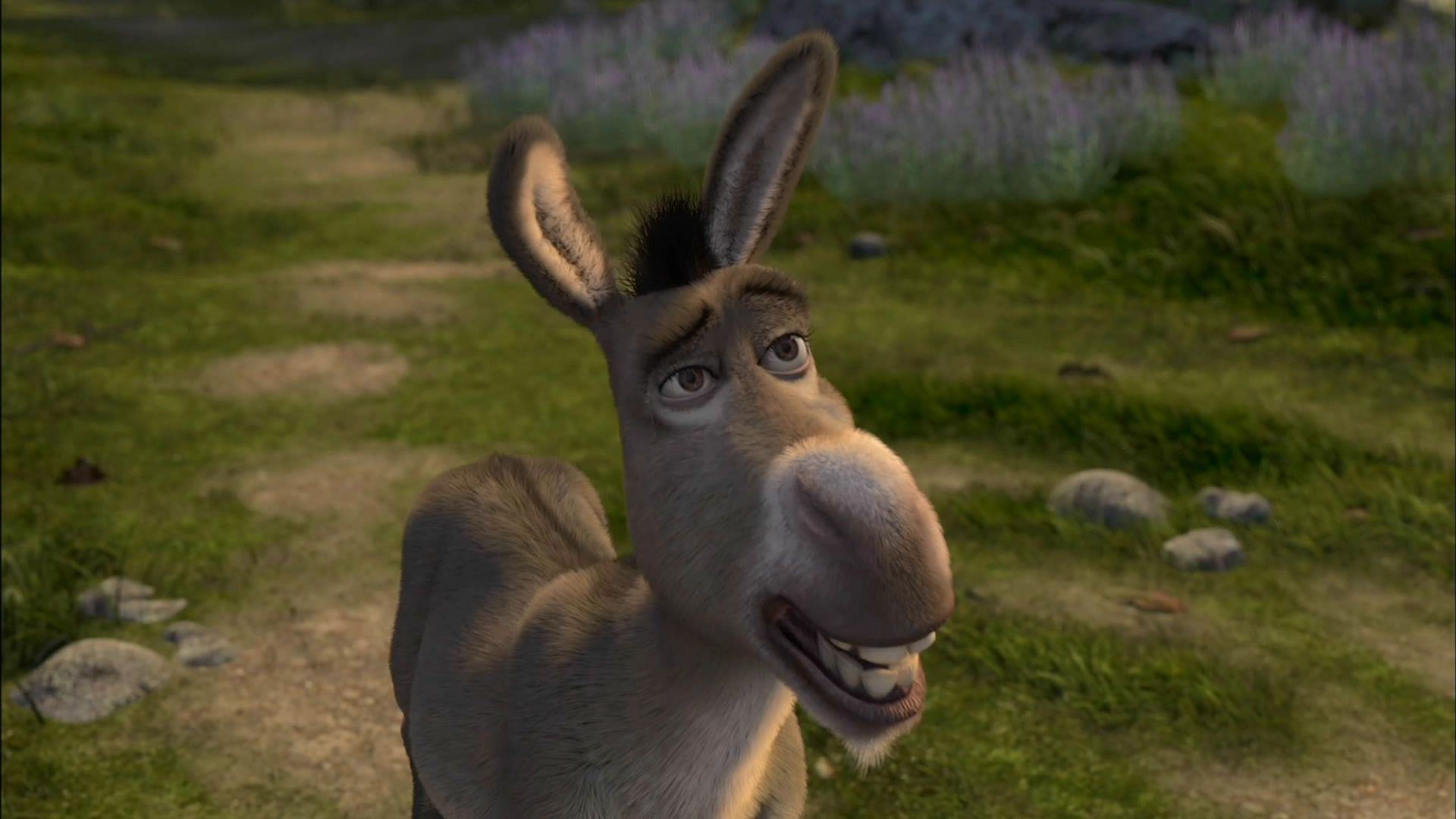 Donkey in Shrek