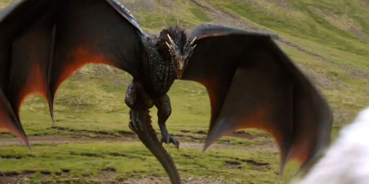 Every Dragonrider Balerion Had & What Happened To Them