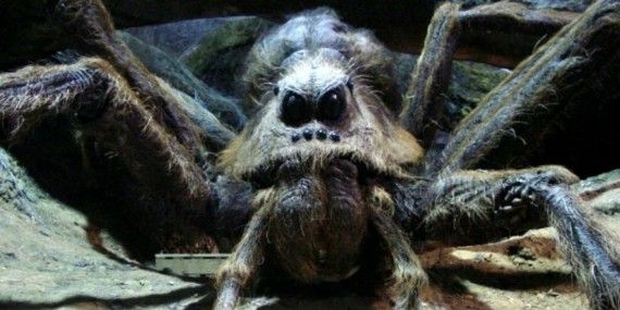 Hagrid's giant spider Aragog in a scene from Harry Potter and the Chamber of Secrets