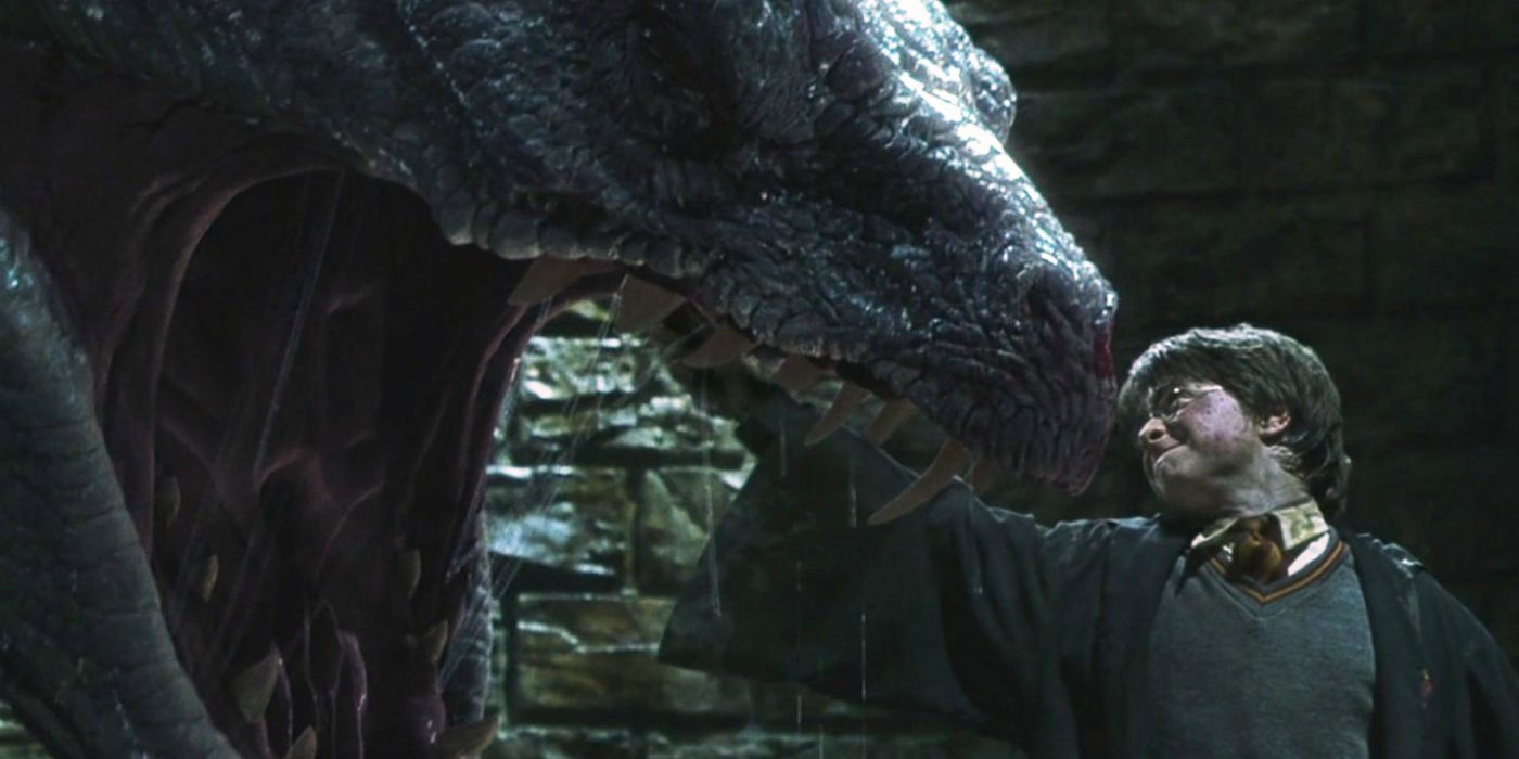 An image of Harry Potter and the Basilisk in the Chamber of Secrets