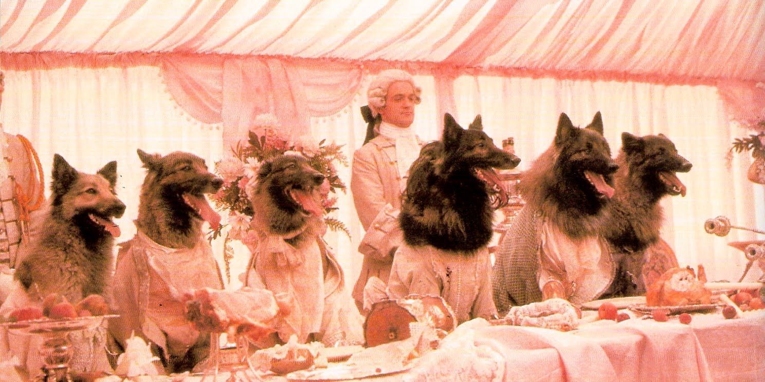 A group of wolves sitting in a fancy table in In the COmpany of Wolves - Fairy Tale Movies Too Scary For Kids