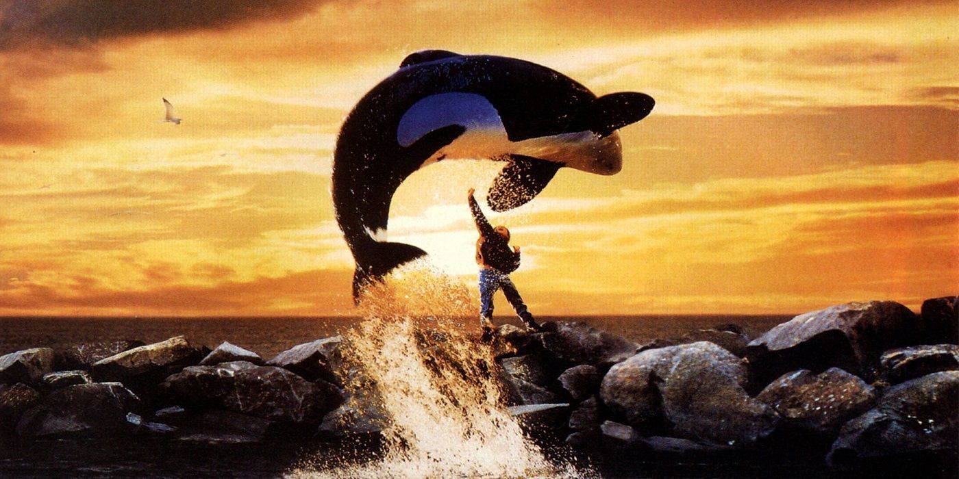 Jesse touching Willy the Killer Whale as he jumps over him in Free Willy