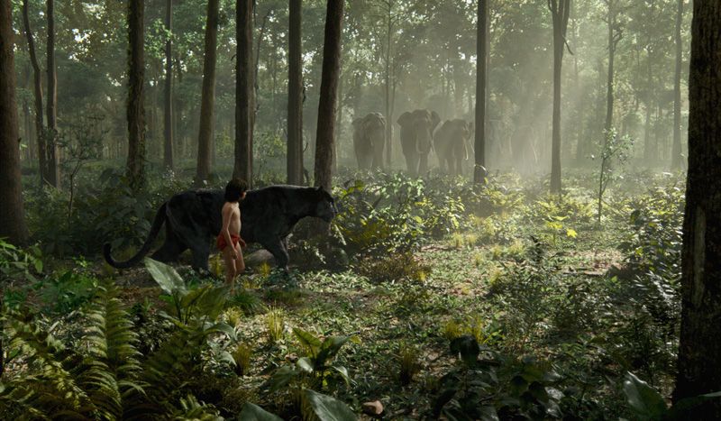 The Jungle Book (2016) - Mowgli and Bagheera