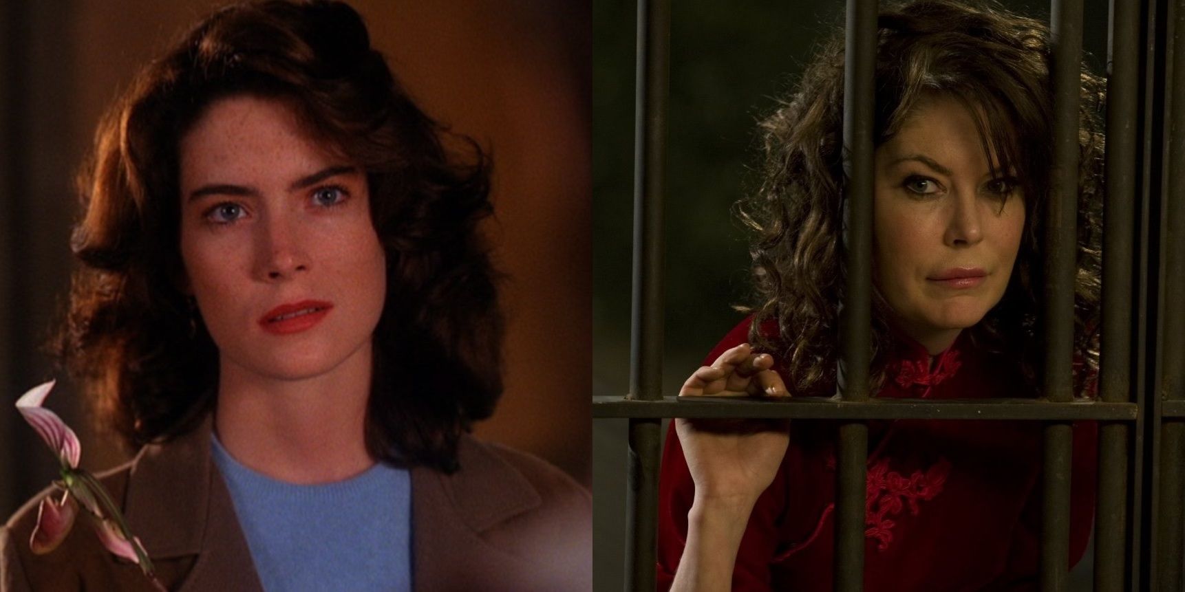 Lara Flynn Boyle as Donna Hayward in Twin Peaks and as the witch in Hansel &amp; Gretel Get Baked