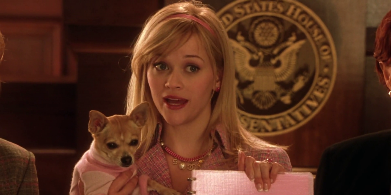 Elle Woods holds her dog and a form in Legally Blonde 2