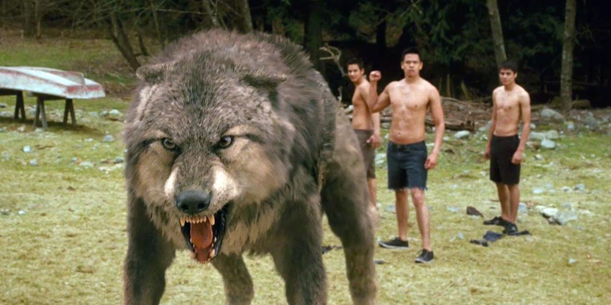 A werewolf in Twilight: New Moon