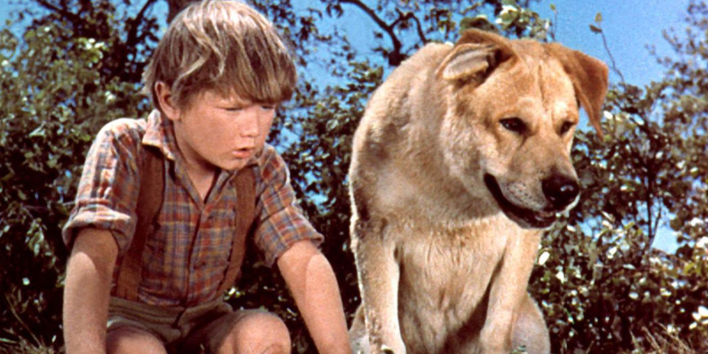 Travis and his dog look down in Old Yeller