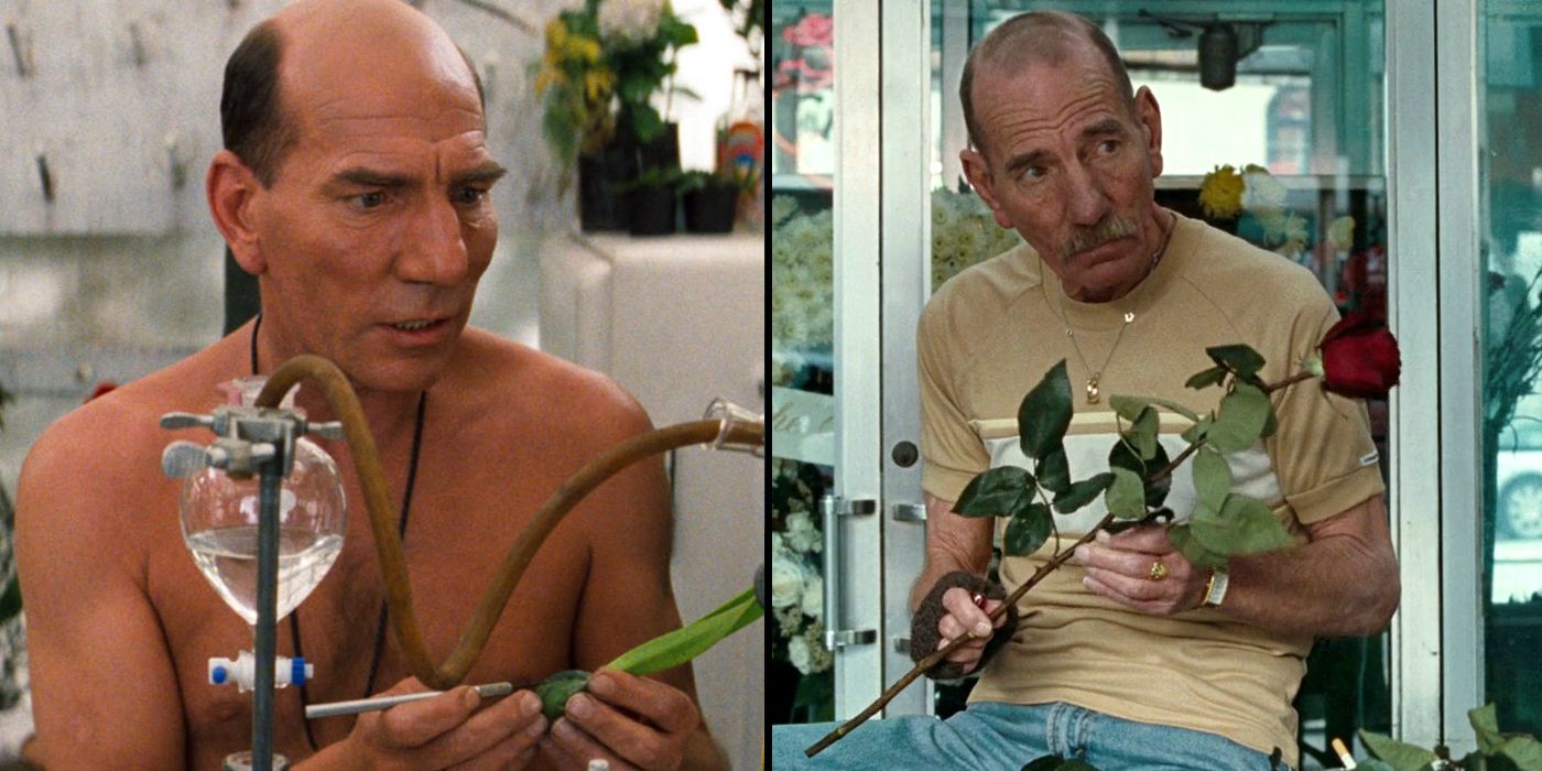 Pete Postlethwaite co-starred in Romeo + Juliet (1996) and The Town (2010)