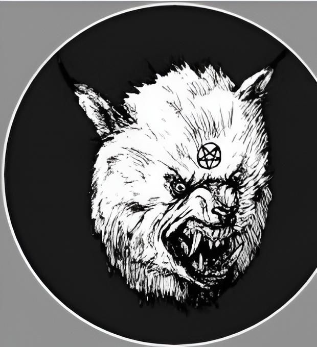 User Display Picture