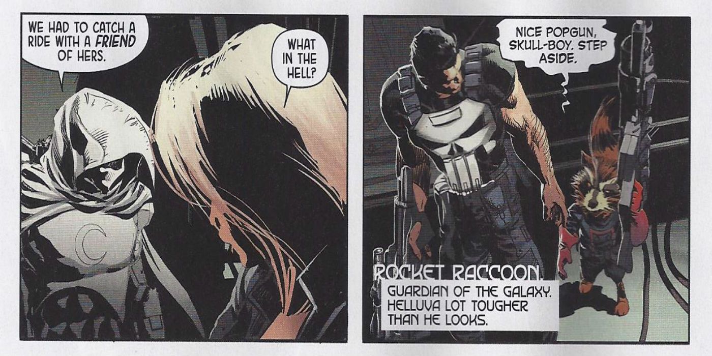 Rocket Raccoon and the Punisher