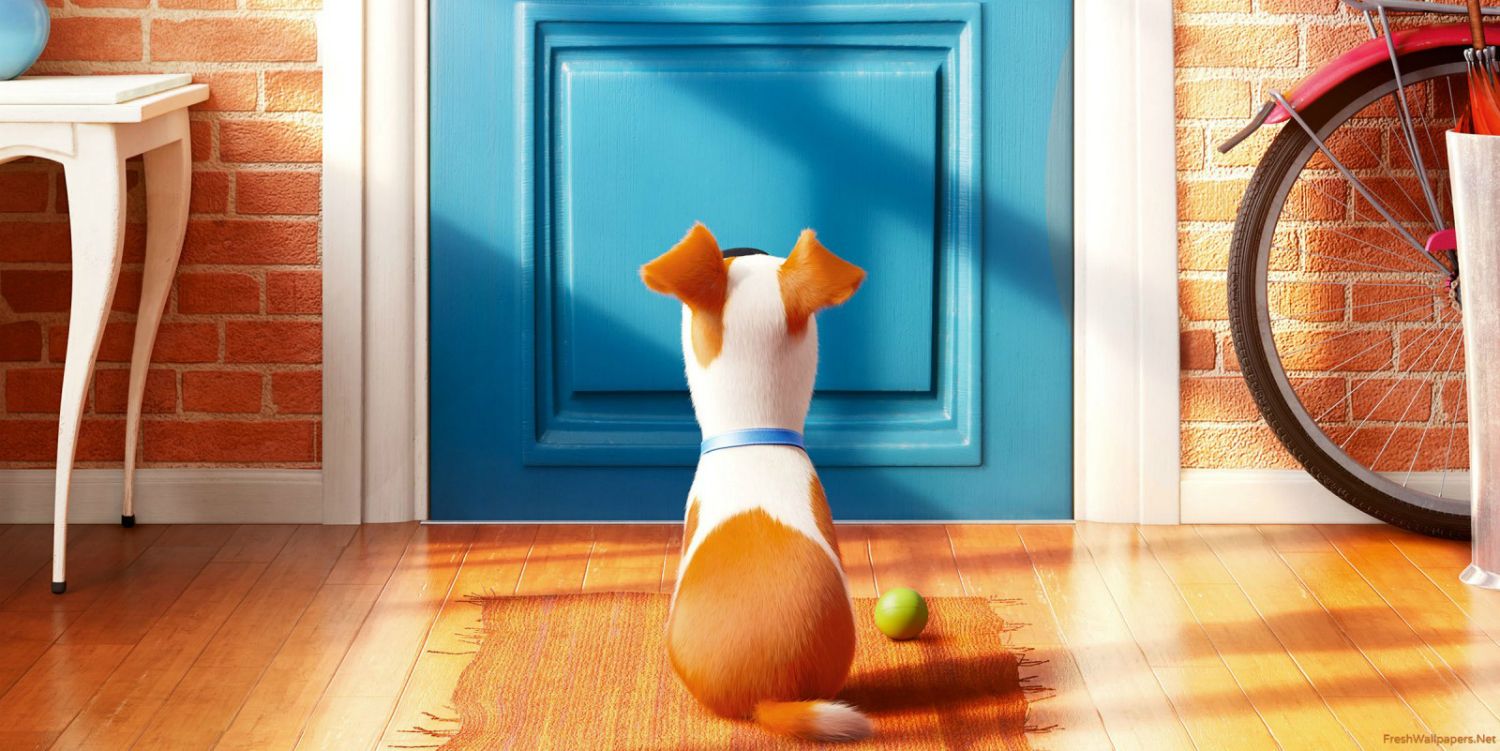 The Secret Life of Pets (2016) trailer and preview