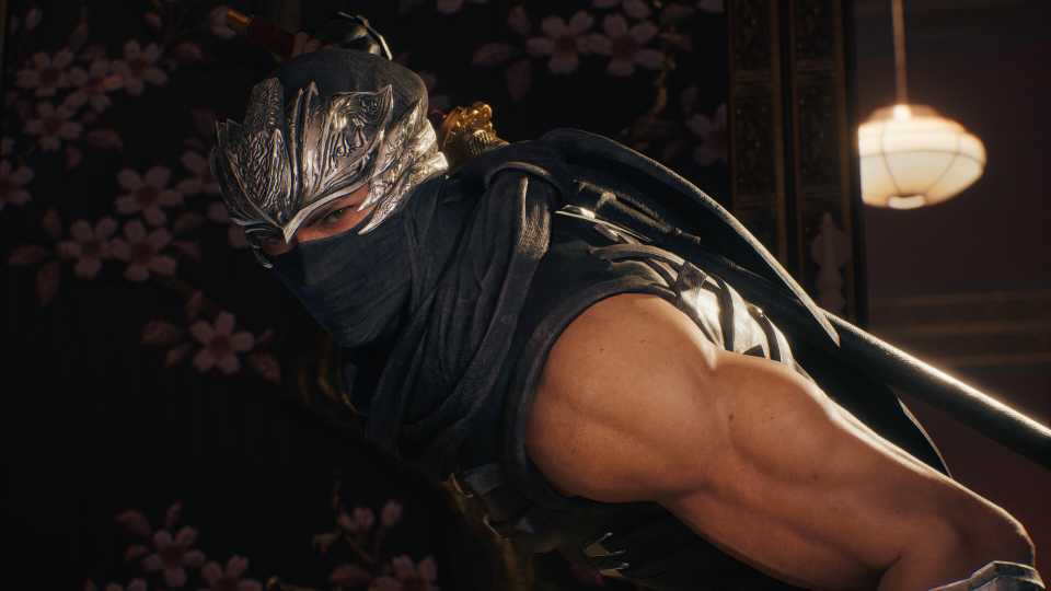 ninja-gaiden-2-black-press-image-4.jpg