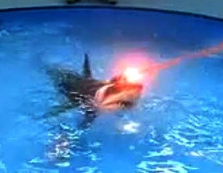 Sharks with frickin' lasers on their heads from Austin Powers: International Man of Mystery