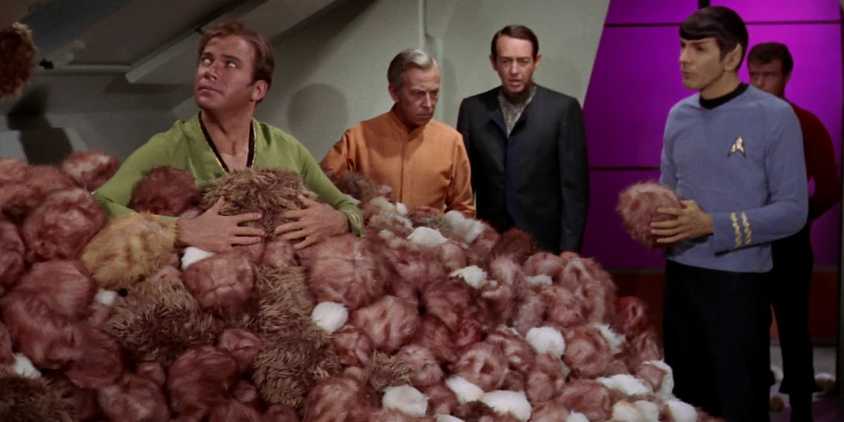 Tribbles Star Trek