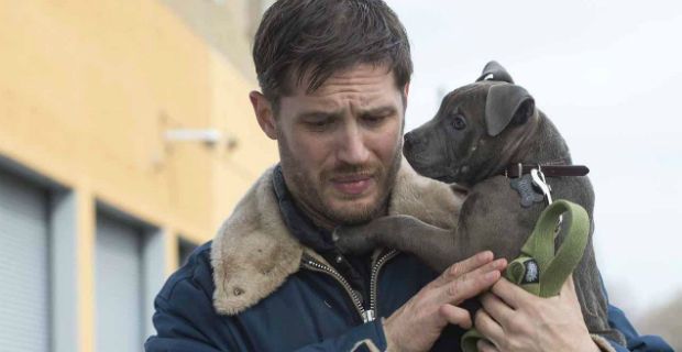 Tom Hardy in The Drop