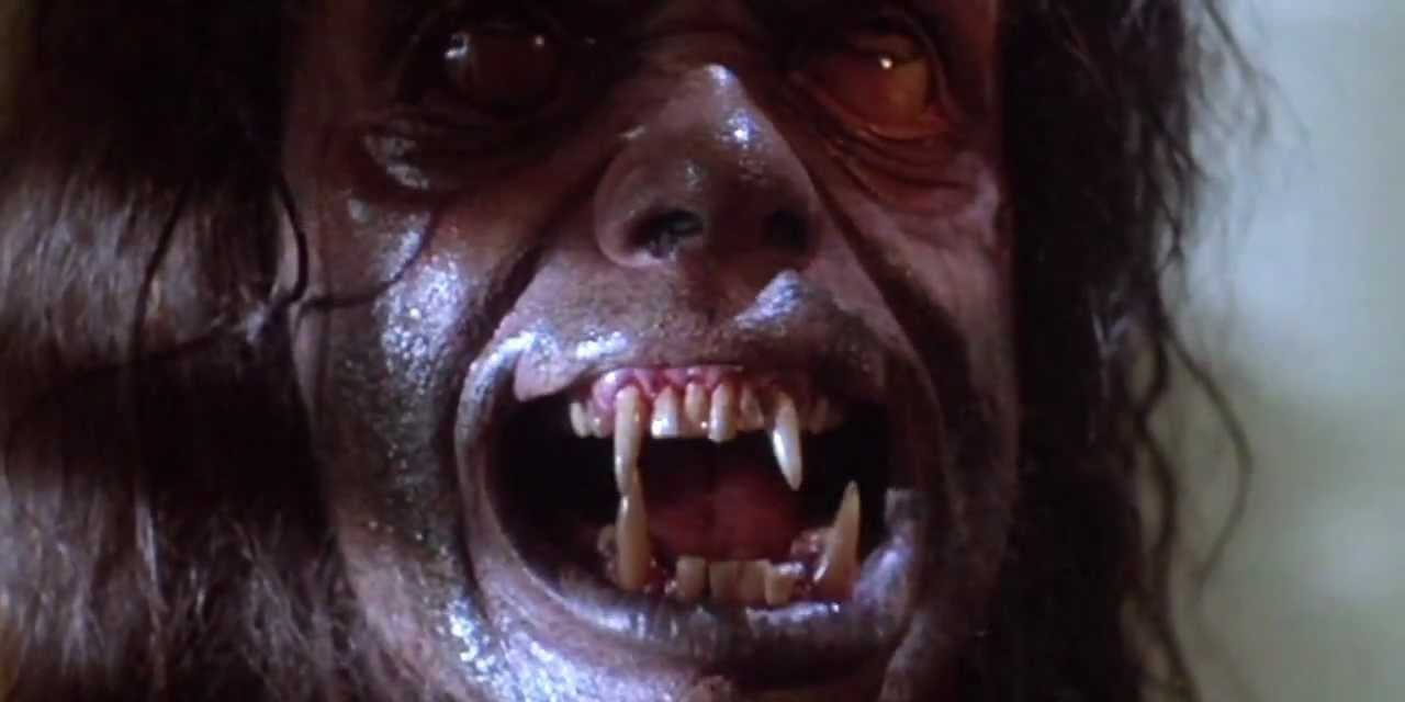 The Howling - Best Horror Movies 1980s