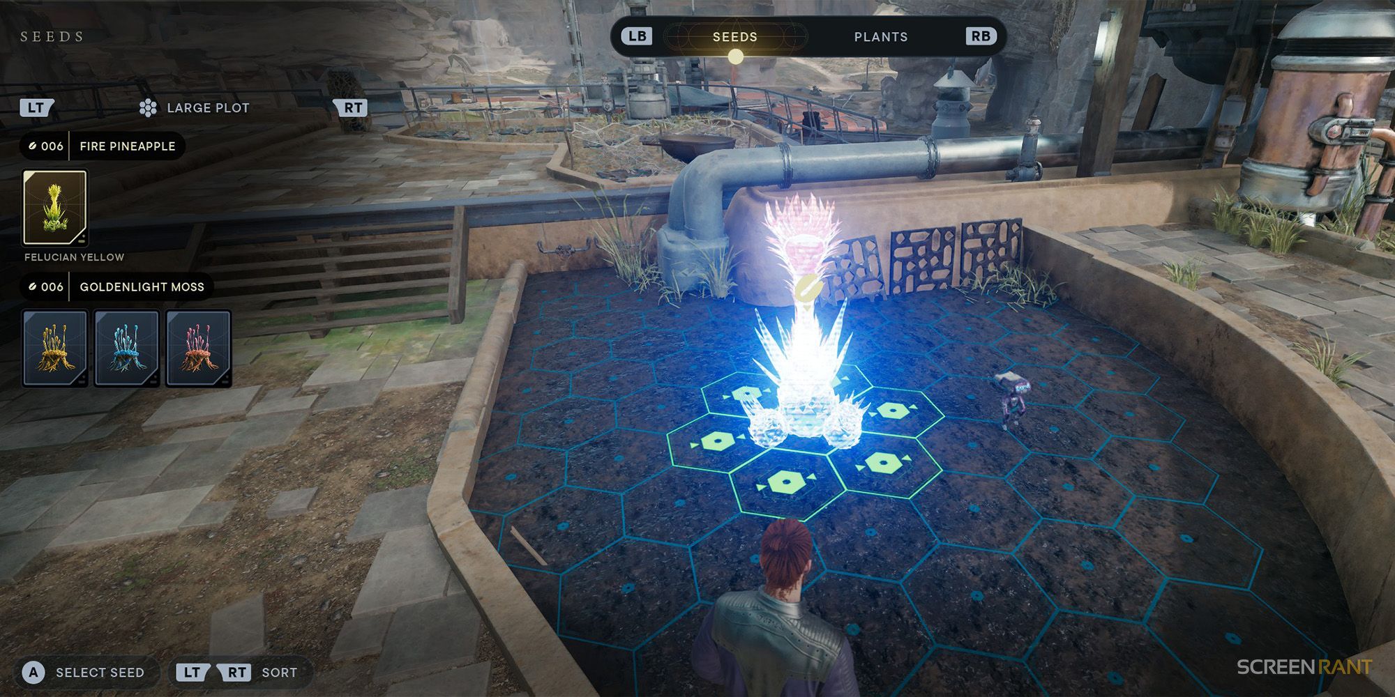 Star Wars Jedi Survivor Where To Plant Seed Pods