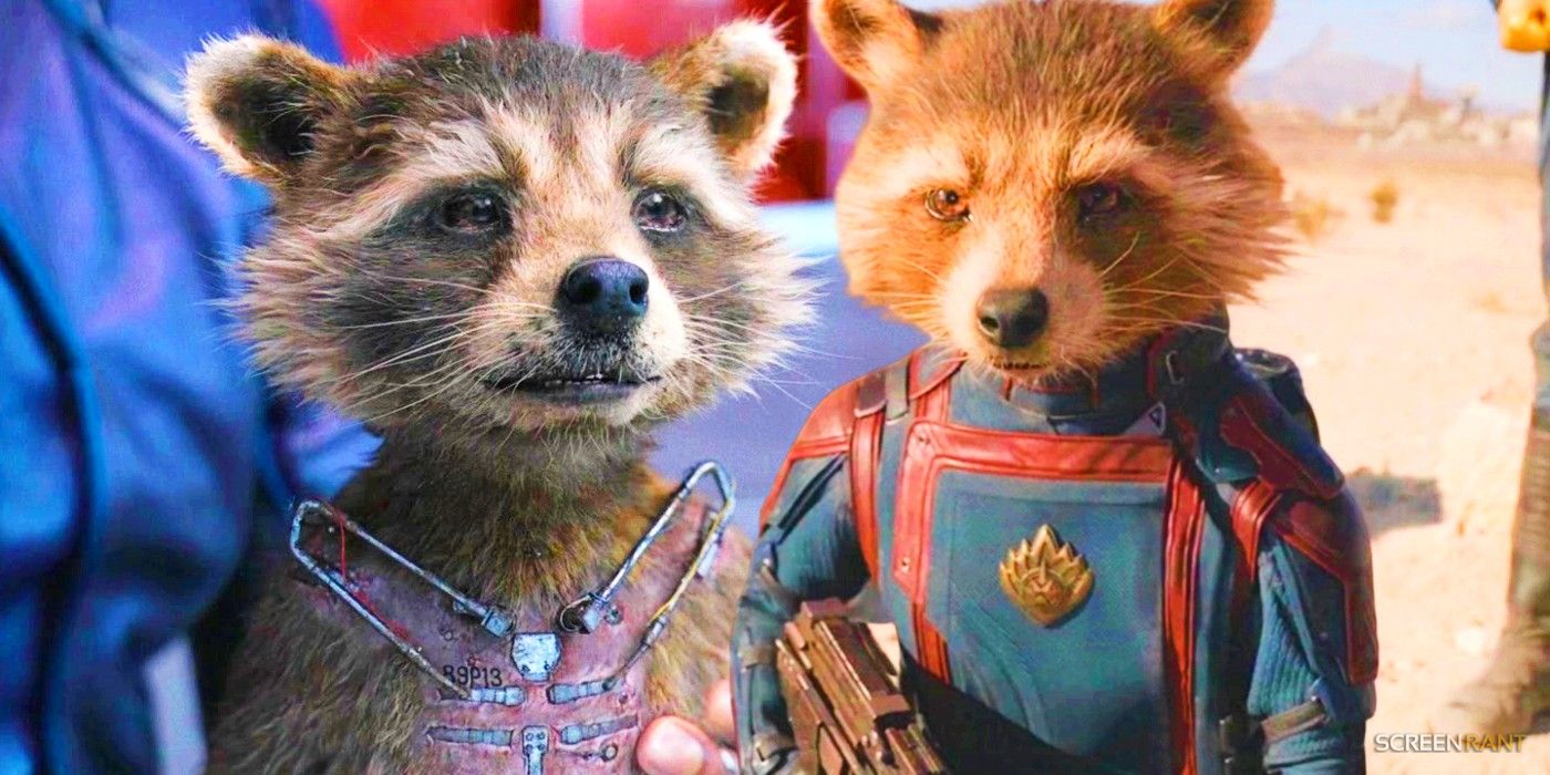 Young Rocket And Ending Rocket in Guardians of the Galaxy Vol 3