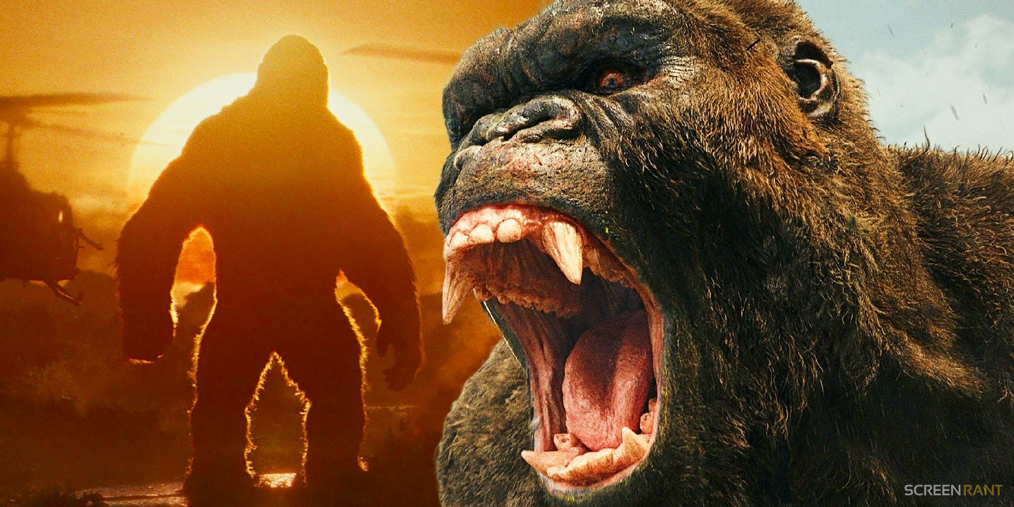 Godzilla Kong Island Sequel