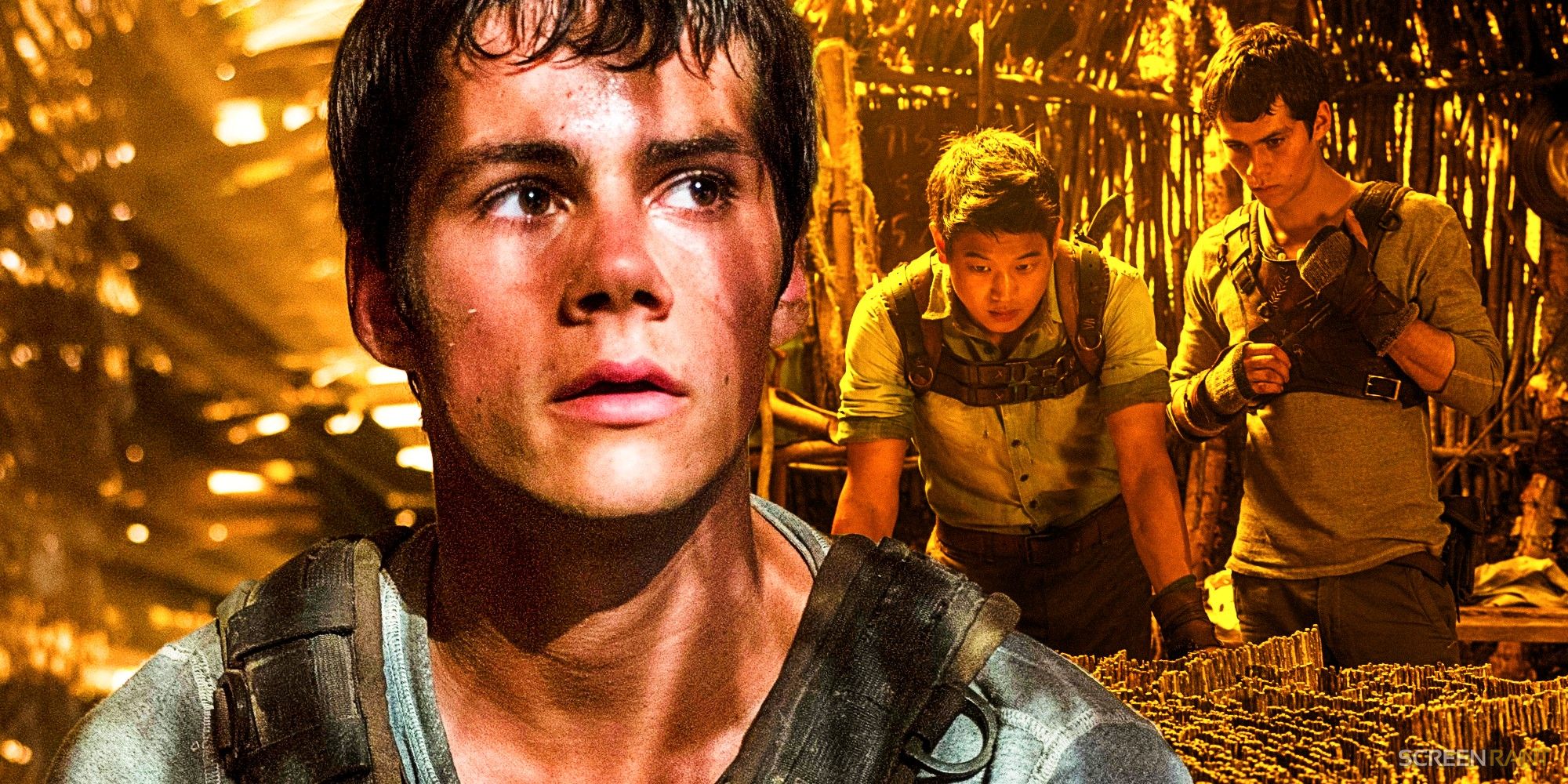 Thomas and Thomas with Minho looking at the maze in The Maze Runner