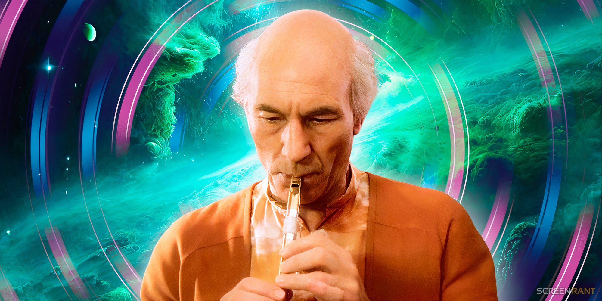 Captain Picard (Patrick Stewart) in Star Trek TNG The Inner Light