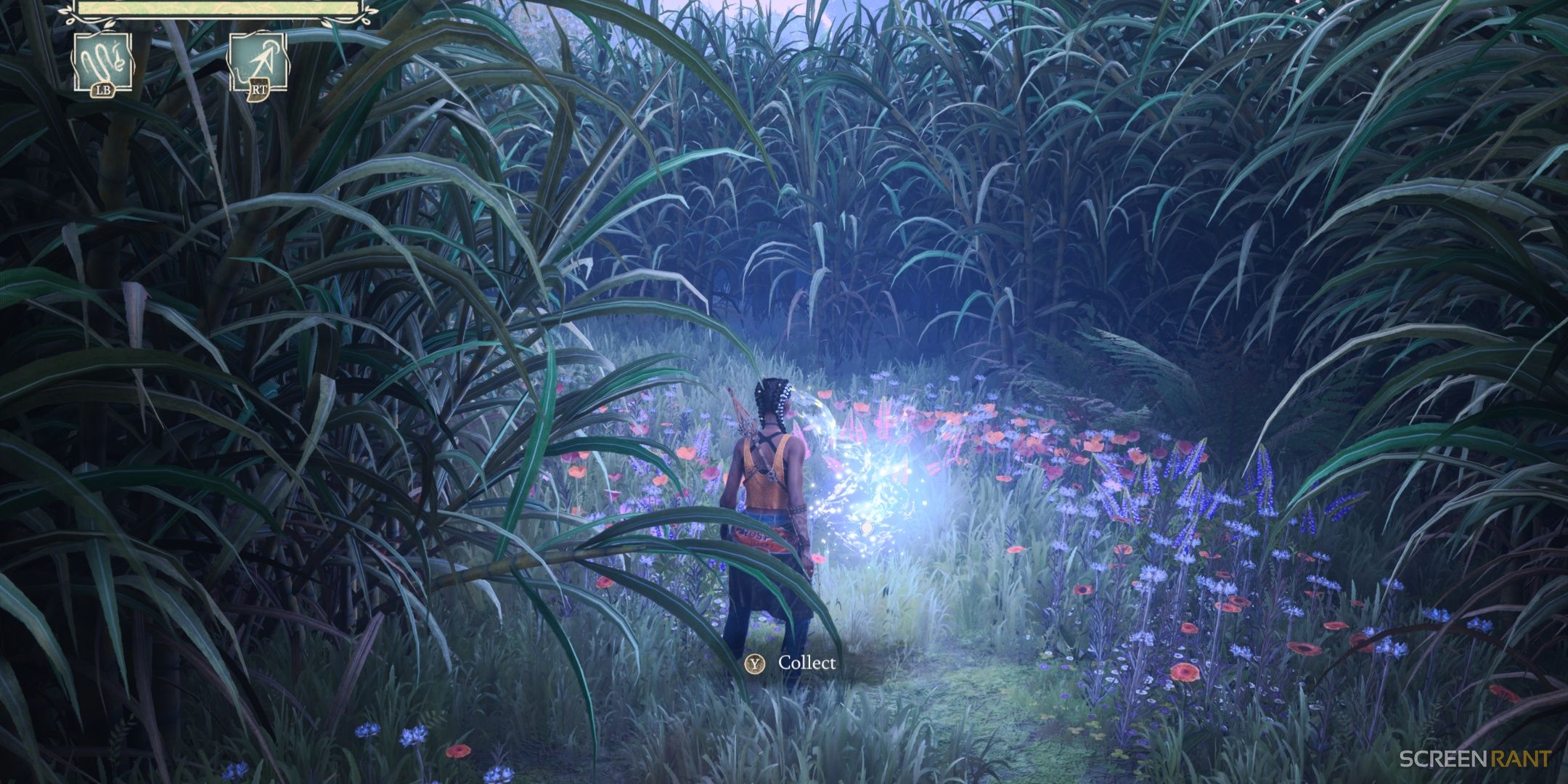About to collect some Floofs in a grassy field in South of Midnight.