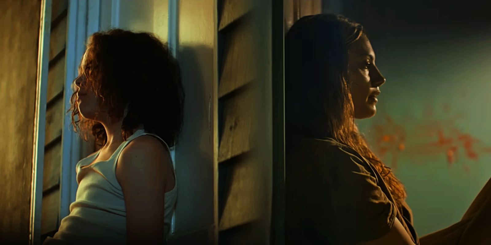 Eli Bell and Frances Bell lean on opposite sides of the wall in Boy Swallows Universe.