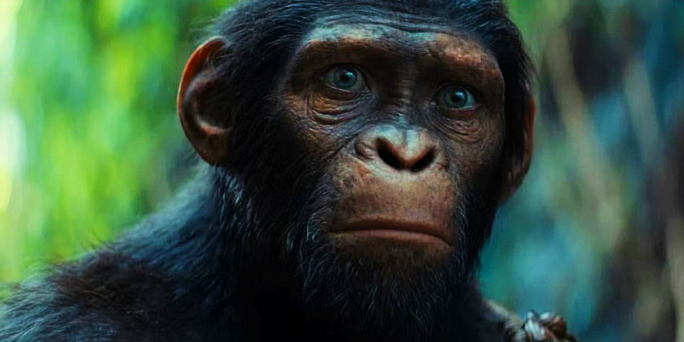 «Это прямо из 68-го»: отсылки к оригинальному фильму «Королевство планеты обезьян»